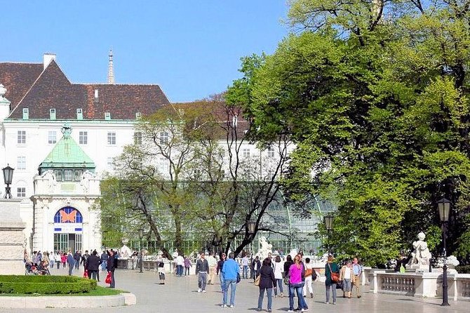 Schmetterlinghaus - Imperial Butterfly House Vienna Admission Ticket - The educational film and Palm House access