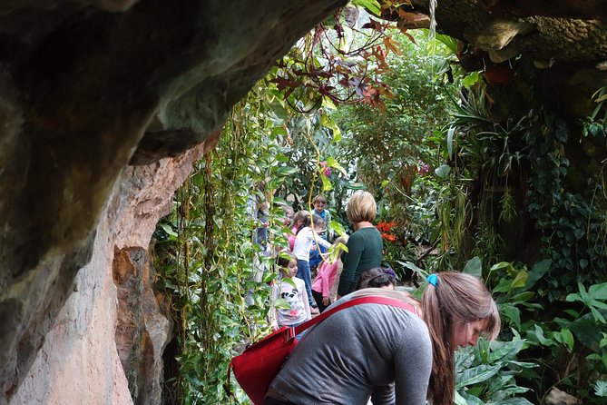 Schmetterlinghaus - Imperial Butterfly House Vienna Admission Ticket - Booking, cancellation, and practical planning
