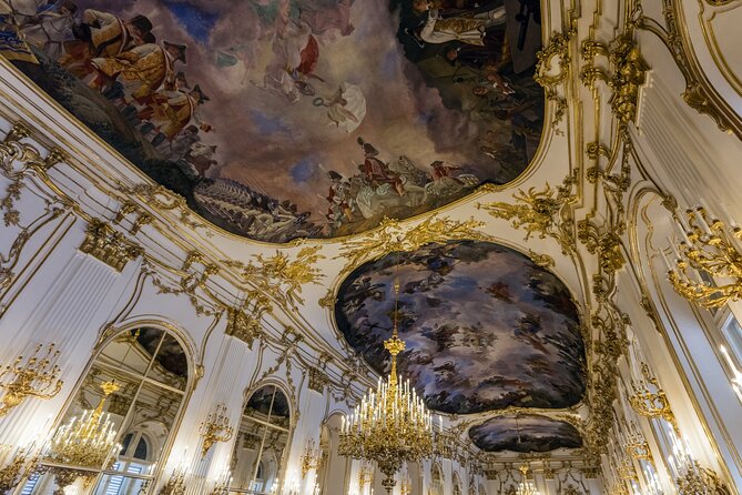 Skip-the-line Schonbrunn Palace Rooms & Gardens Private Tour - What the private guide adds