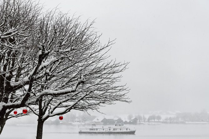 Small-Group Christmas Day Trip to Hallstatt from Vienna - Why this Christmas outing works well from Vienna