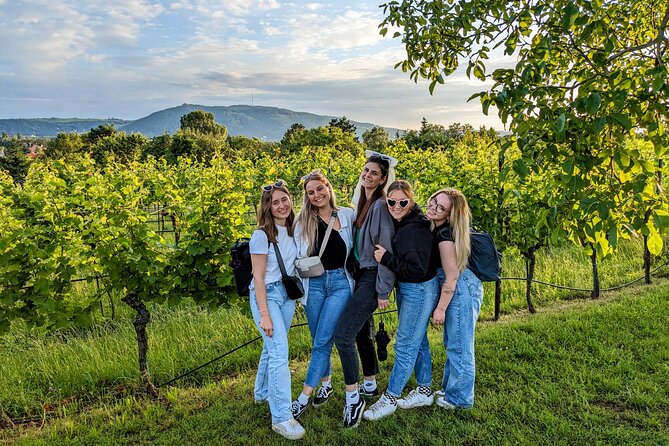 Small-group Vienna Wine Tour - Walking through Vienna’s vineyards