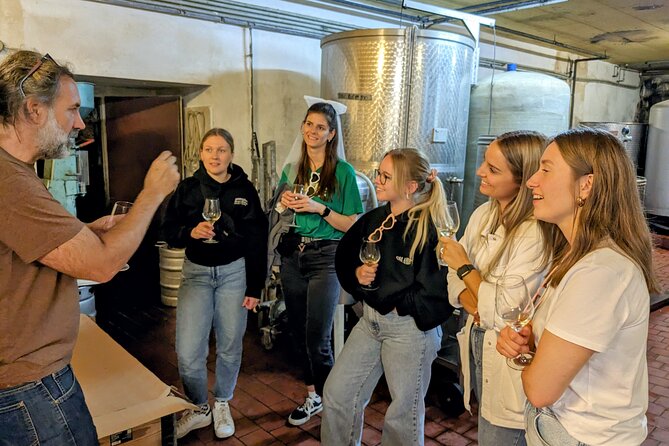 Small-group Vienna Wine Tour - How this compares with central Vienna sightseeing