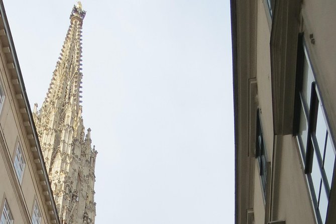 St. Stephen's cathedral - old symbol newly discovered - Key points at a glance