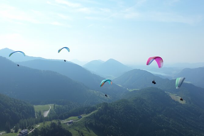 Tandem Paragliding St. Gilgen - Wolfgangsee - Who will enjoy this flight most?