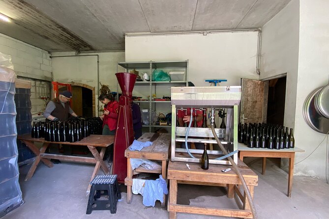 Taste and Tour Small Organic Wineries with a Winemaker - Starting at Krems Railway Station