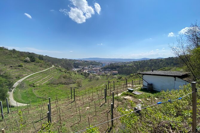 Taste and Tour Small Organic Wineries with a Winemaker - The Second and Third Stops: Two Small Organic Producers