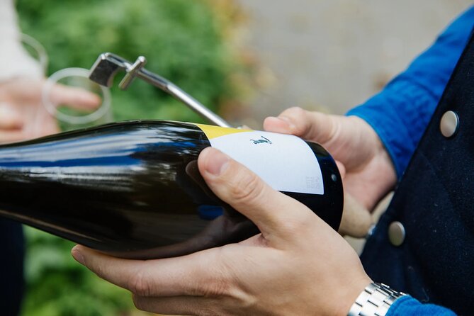 Taste and Tour Small Organic Wineries with a Winemaker - What You Learn in the Cellars