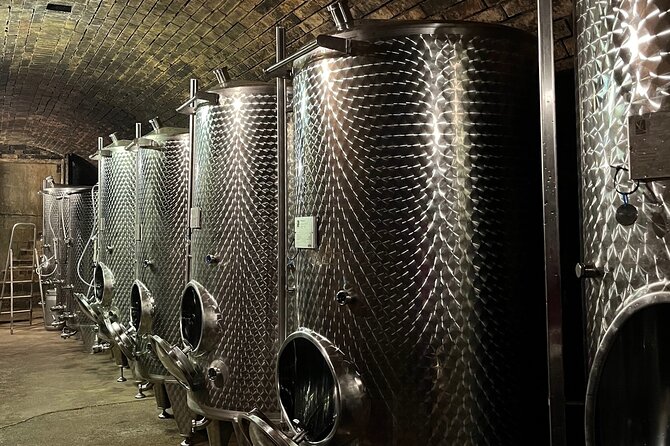 Taste and Tour Small Organic Wineries with a Winemaker - The Views and the Pace of the Afternoon