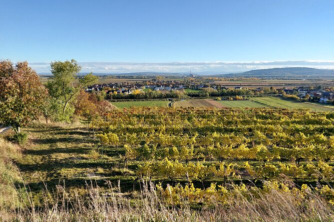 Taste and Tour Small Organic Wineries with a Winemaker - Is $111 Per Person a Good Value?