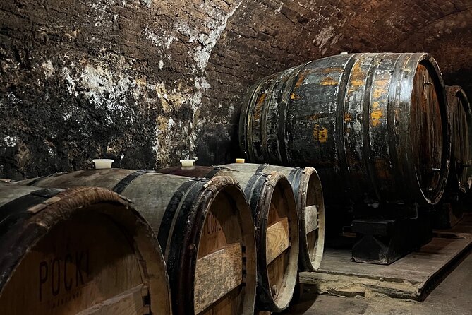 Taste and Tour Small Organic Wineries with a Winemaker - Who Should Book This Experience?