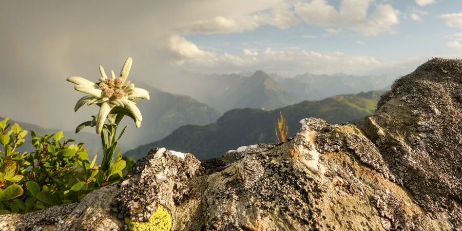 The Hills Are Alive Private "Do-Re-Mi" Tour - Werfen, the Lueg Pass, and the picnic view