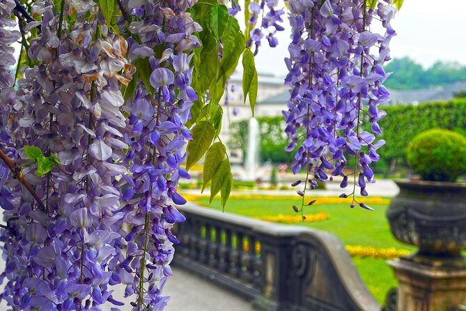 Transfer from Vienna to Salzburg with 2 hours for sightseeing - Why this transfer can improve the Vienna to Salzburg journey