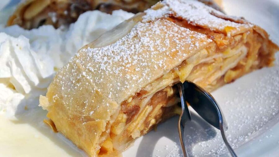 Vienna: 2-hour Danube Panorama Tour (Cruise Only) - Lunch, Schnitzel, and Apple Strudel Options