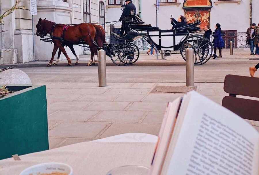 Vienna: 30-Minute Fiaker Ride in the Old Town - What makes this Fiaker ride worth considering