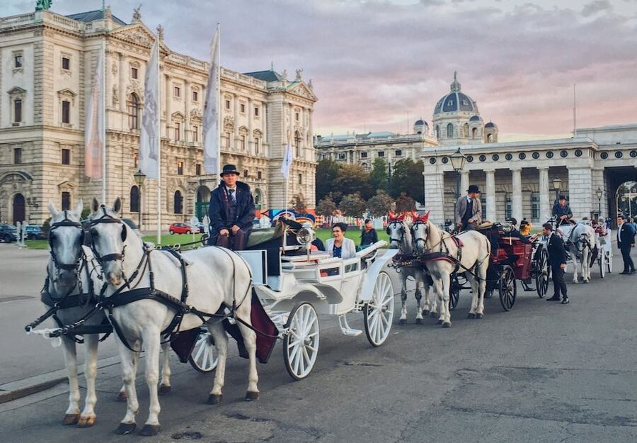 Vienna: 30-Minute Fiaker Ride in the Old Town - The Hofburg, from imperial seat to government center