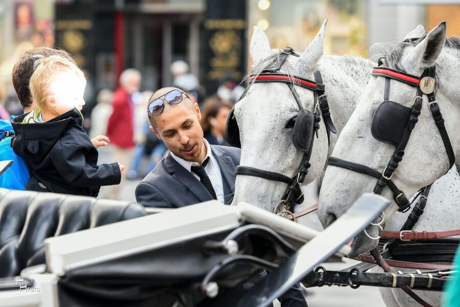 Vienna: 30-Minute Fiaker Ride in the Old Town - Parliament and the statue of Pallas Athene