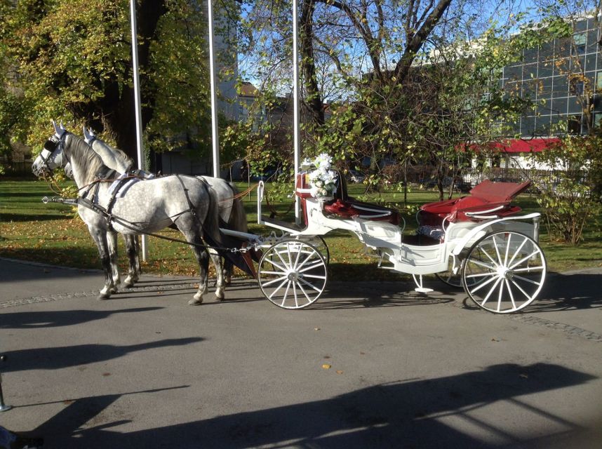 Vienna: 30-Minute Fiaker Ride in the Old Town - Vienna Town Hall and its lively square