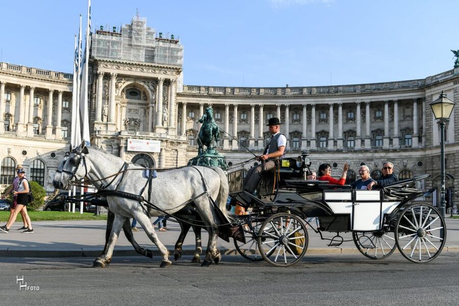 Vienna: 30-Minute Fiaker Ride in the Old Town - Meeting beside St. Stephen’s Cathedral or at Michaelerplatz