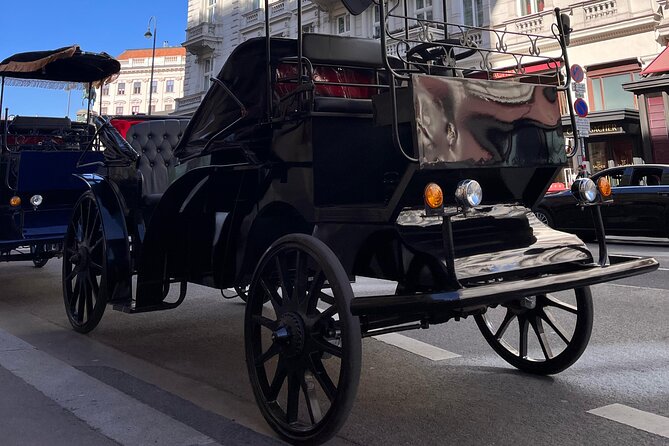 Vienna: 60 min. Royal E-Carriage Sightseeing Tour with Drinks - Key points at a glance