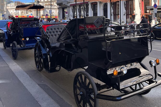 Vienna: 60 min. Royal E-Carriage Sightseeing Tour with Drinks - What the one-hour Royal E-Carriage tour is really like