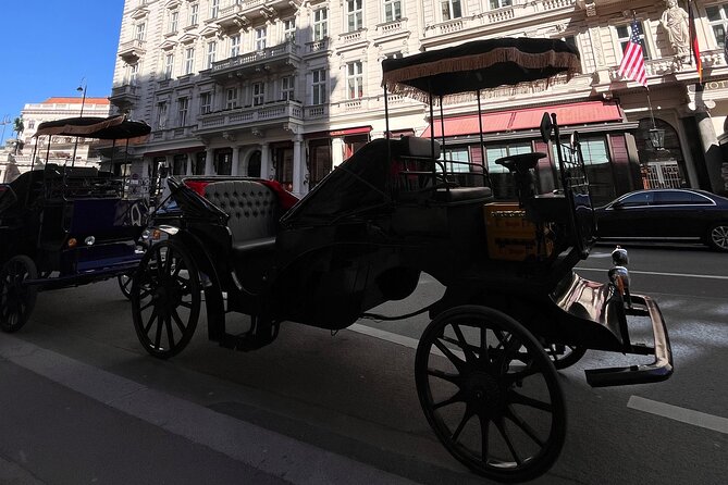 Vienna: 60 min. Royal E-Carriage Sightseeing Tour with Drinks - Parliament, Burgtheater, City Hall, and the University