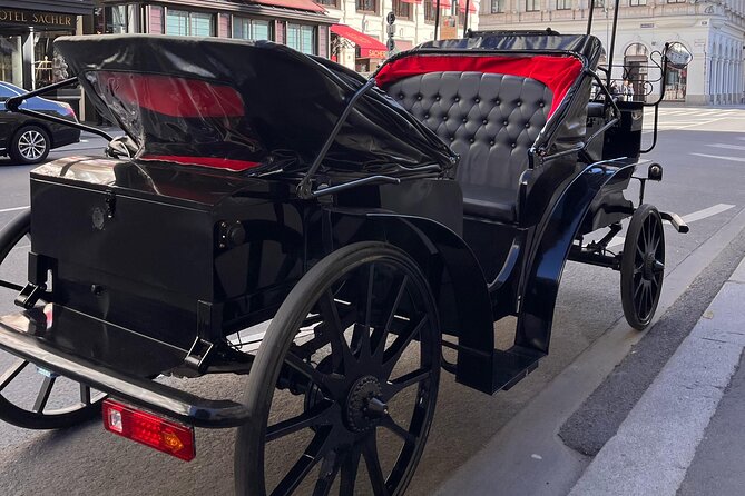 Vienna: 60 min. Royal E-Carriage Sightseeing Tour with Drinks - Votivkirche, Am Hof, and the old city streets