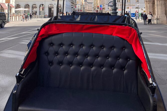 Vienna: 60 min. Royal E-Carriage Sightseeing Tour with Drinks - Schwarzenbergplatz, the Soviet Memorial, and Karlskirche