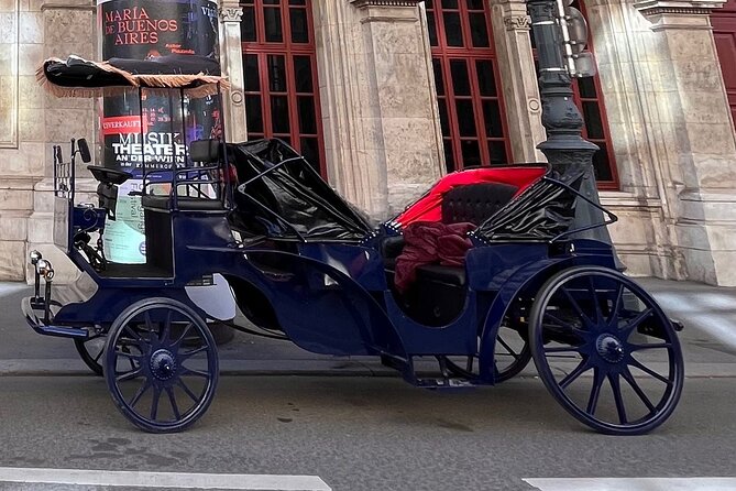Vienna: 60 min. Royal E-Carriage Sightseeing Tour with Drinks - The guide and the private group advantage