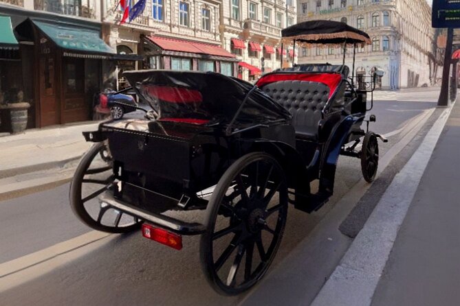 Vienna: 60 min. Royal E-Carriage Sightseeing Tour with Drinks - Maria Theresia Monument and Vienna’s grand museums