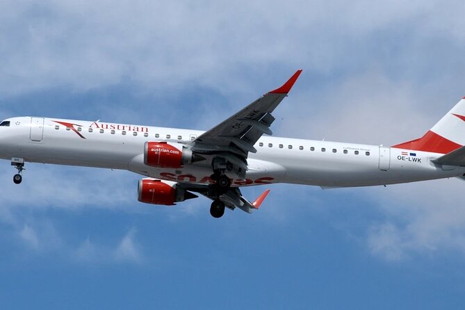 Vienna Airport Transfer from Vienna City with Private Driver - Meeting your chauffeur at Vienna International Airport