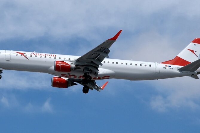 Vienna Airport Transfers From Vienna City With Private Driver - Arrival at the correct terminal and departure area