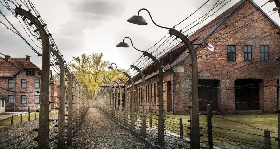 Vienna: Auschwitz Birkenau Full-Day Tour w/ Hotel Transfers - Key points to know before booking