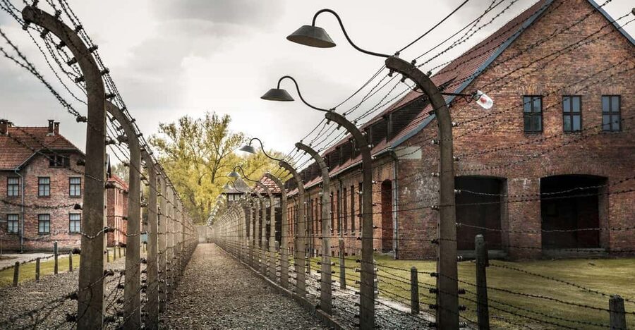 Vienna: Auschwitz Birkenau Full-Day Tour w/ Hotel Transfers - Birkenau: scale, distance, and the ruins