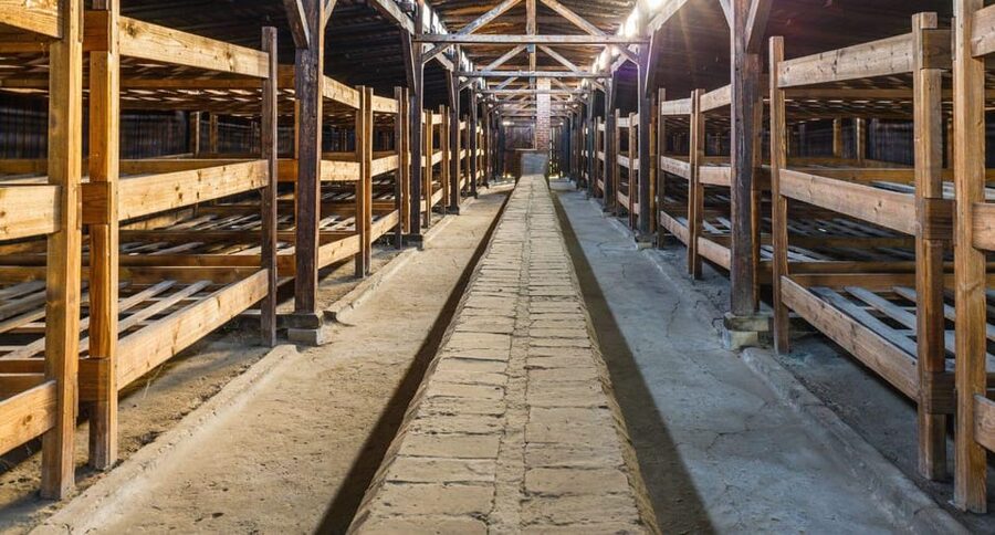 Vienna: Auschwitz Birkenau Full-Day Tour w/ Hotel Transfers - A guided visit, not a quick photo stop