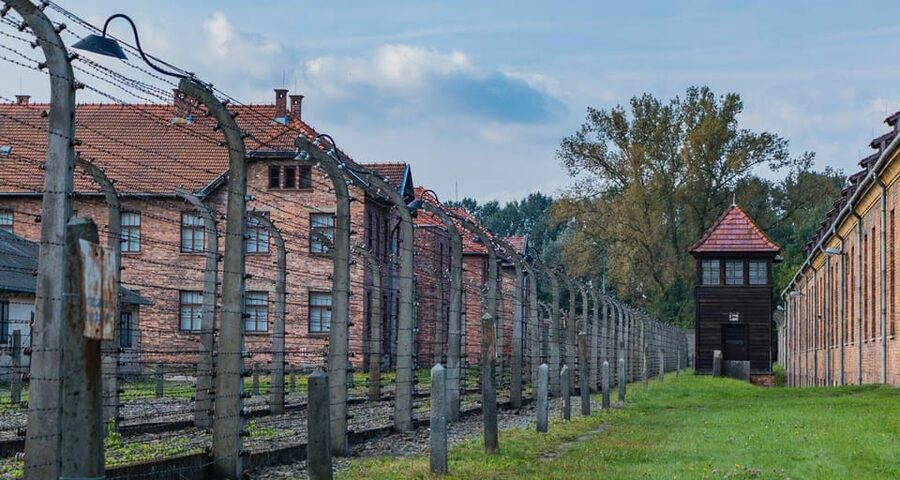 Vienna: Auschwitz Birkenau Full-Day Tour w/ Hotel Transfers - What the $666 price really covers