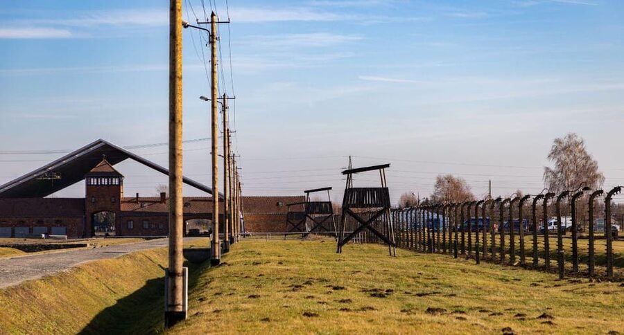 Vienna: Auschwitz Birkenau Full-Day Tour w/ Hotel Transfers - Who should book this experience?