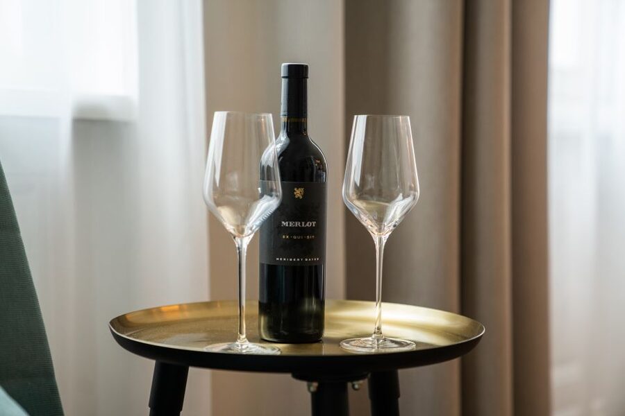 Vienna: Austrian Wine Tasting Experience - Who should book this Vienna tasting?