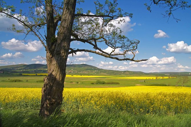 Vienna-Budapest One-Way Sightseeing Transfer - Bratislava Old Town and Castle Views