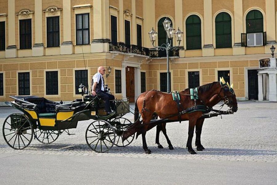 Vienna: Carriage Ride Through Schönbrunn Palace Gardens - Key points to know before booking