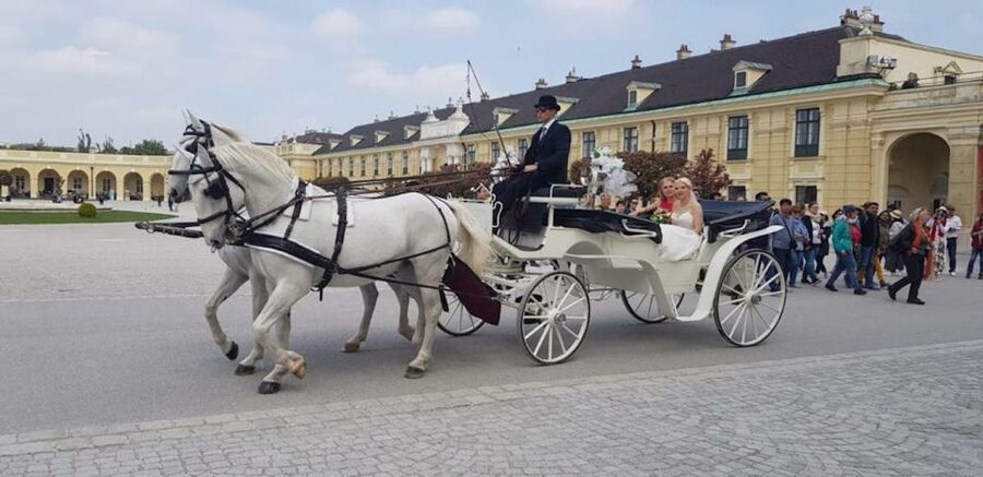 Vienna: Carriage Ride Through Schönbrunn Palace Gardens - Meeting your Fiaker at Schönbrunn Palace