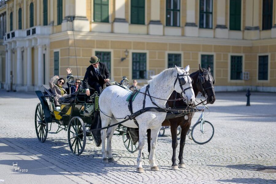 Vienna: Carriage Ride Through Schönbrunn Palace Gardens - Neptune Fountain and the garden’s grand axis