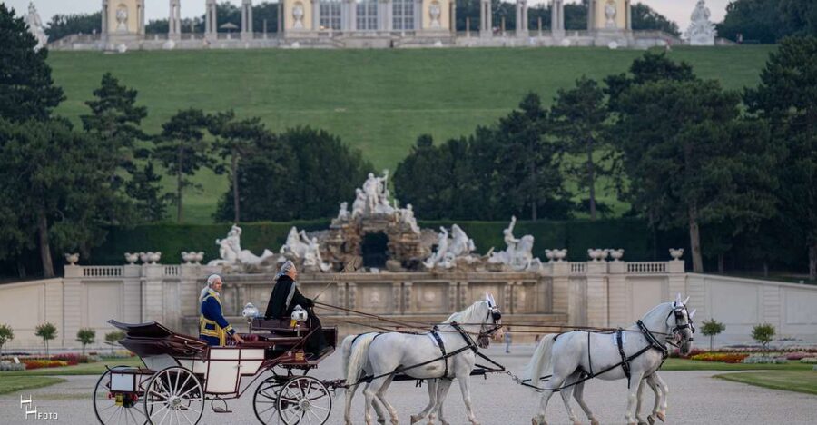 Vienna: Carriage Ride Through Schönbrunn Palace Gardens - The Gloriette and the best long view