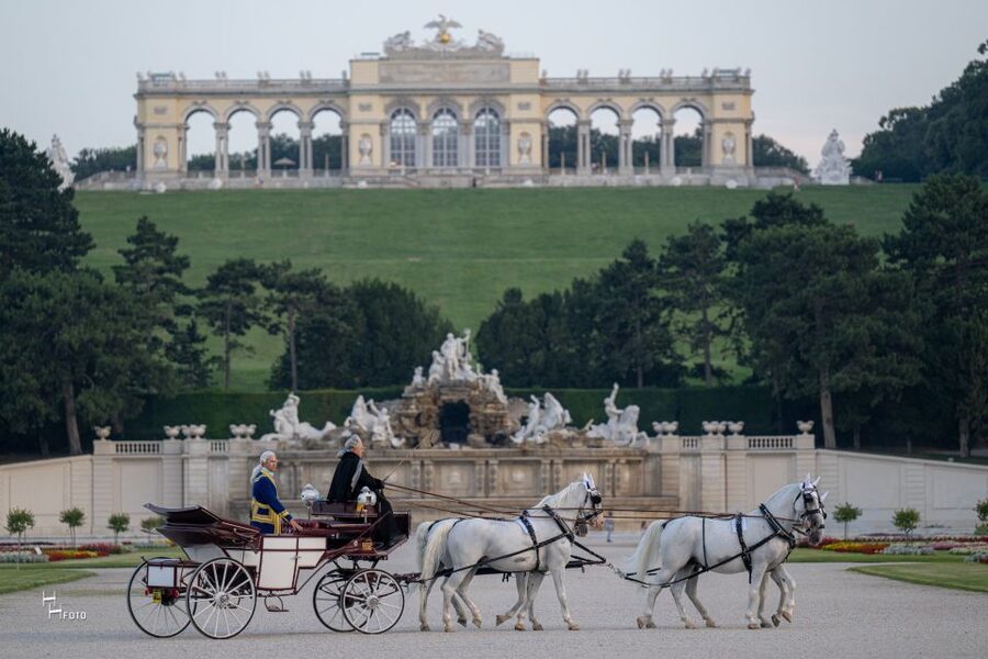 Vienna: Carriage Ride Through Schönbrunn Palace Gardens - Palm House, Orangerie, and imperial-era buildings