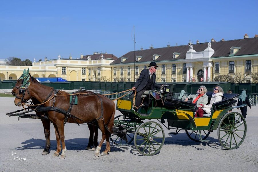 Vienna: Carriage Ride Through Schönbrunn Palace Gardens - Who will enjoy this carriage ride most