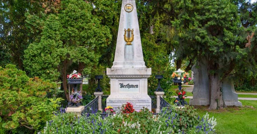 Vienna Central Cemetery Walking Tour with Transfers - Who should book this private walk?