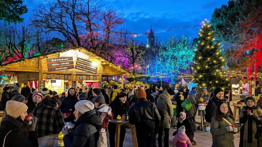 Vienna: Christmas Market Food and Drinks Tour - From the hip 7th district to an old university campus