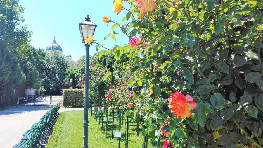 Vienna: City Highlights Guided Walking Tour & Old Town - Starting near Roman Vienna or the city museum