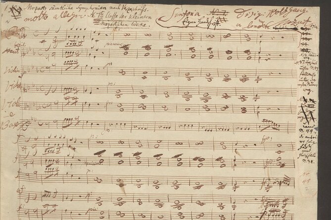 Vienna: City of Music Private Walking Tour - The Hofburg and Beethoven’s aristocratic ties