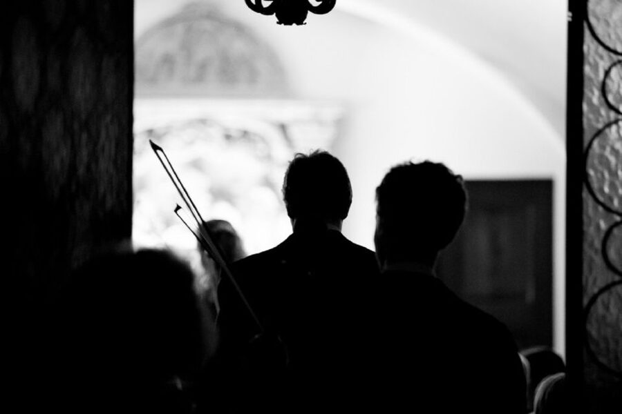 Vienna: Classic Ensemble Vienna in St. Peter's Church Ticket - Who will enjoy this concert most?