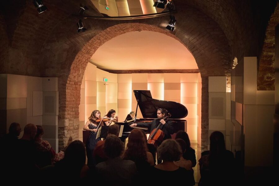 Vienna: Classical Concert at Mozarthaus with Museum Entry - Who should book this experience?